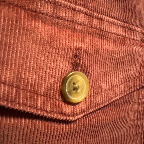 American Eagle light mauve pink corduroy stretch high waist mini skirt. - Picture 4 of 4